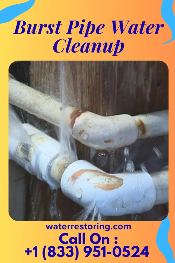 Burst Pipe Water Cleanup in Crenshaw, PA