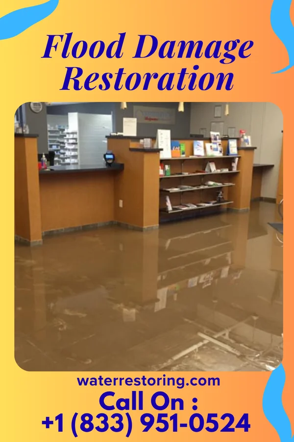 Flood Damage Restoration in Crenshaw, PA