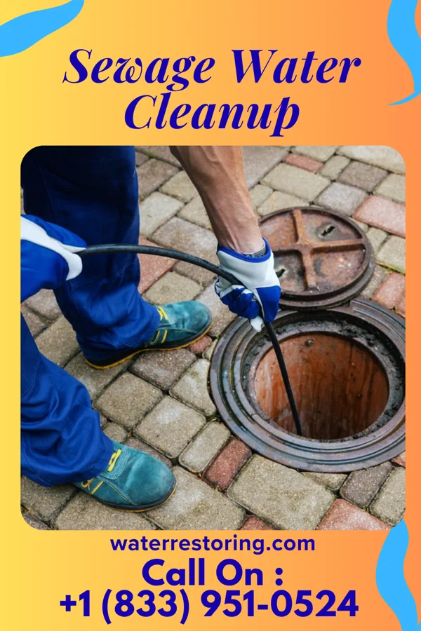 Sewage Water Cleanup in Crenshaw, PA